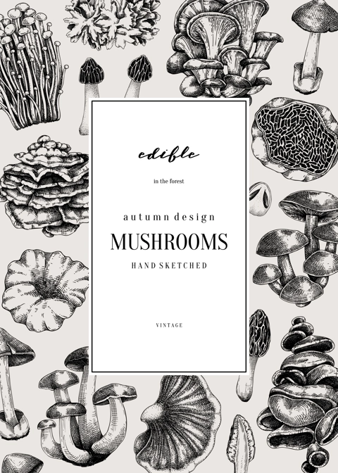 Forest mushrooms background. Edible mushrooms frame, vinatge card design. Fungi, healthy food, vegan product sketches. Vintage autumn hand-drawn vector illustration. Engraved design template
